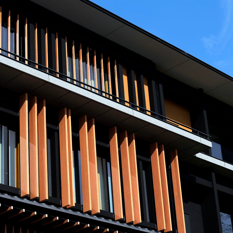 部屋ごとにピッチの異なる木製ルーバーが表情の変化を生むことになった